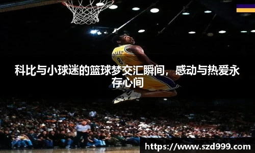 leyu乐鱼官方入口