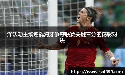 泽沃勒主场迎战海牙争夺联赛关键三分的精彩对决