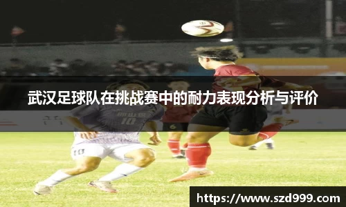 leyu乐鱼体育官网