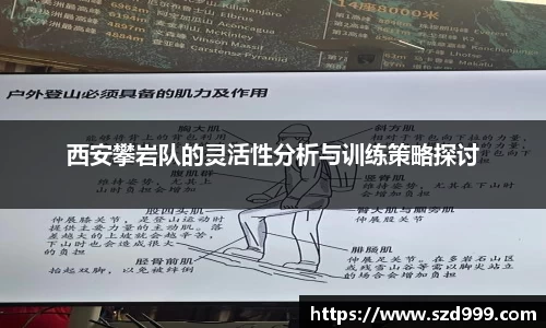 leyu乐鱼体育