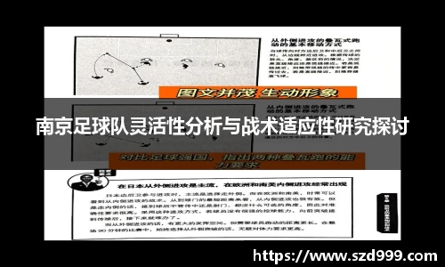 南京足球队灵活性分析与战术适应性研究探讨